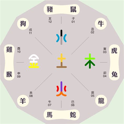 獅子 五行|十二星座五行 